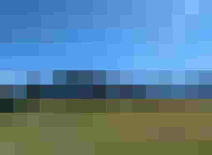 Grüne Wiese mit einzelnem Baum vor Alpenpanorama und blauem Himmel